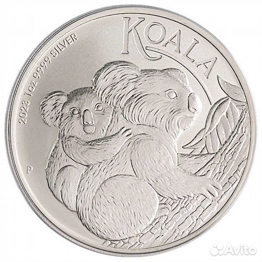 Кролик 2023 Австралия и другое иностранное серебро