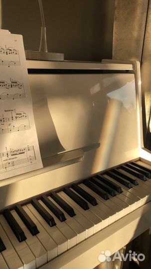 Репетитор по сольфеджио