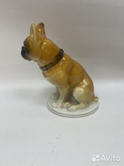 Фарфор бульдог