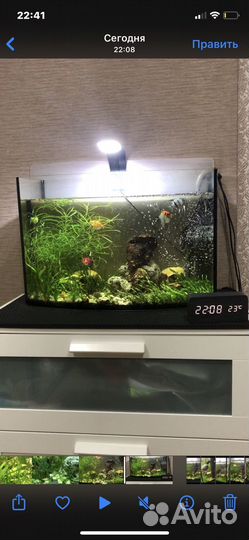 Аквариум с рыбками