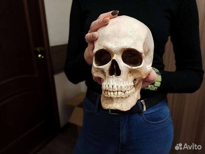 Большой череп