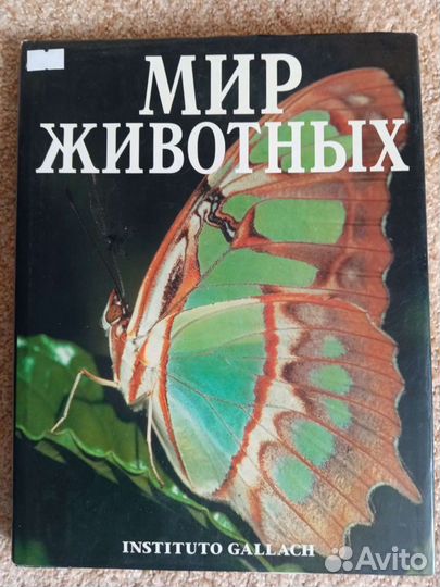 Книга Мир животных
