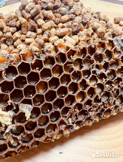 Пчелиная Перга