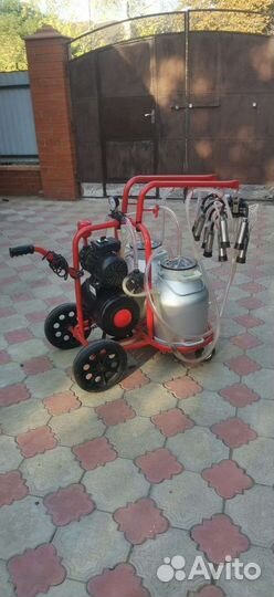 Доильный аппарат