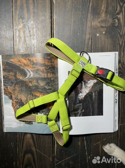 Шлейка для собаки