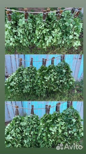 Веники для бани