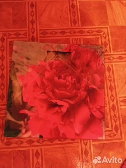 Весы напольные электронные