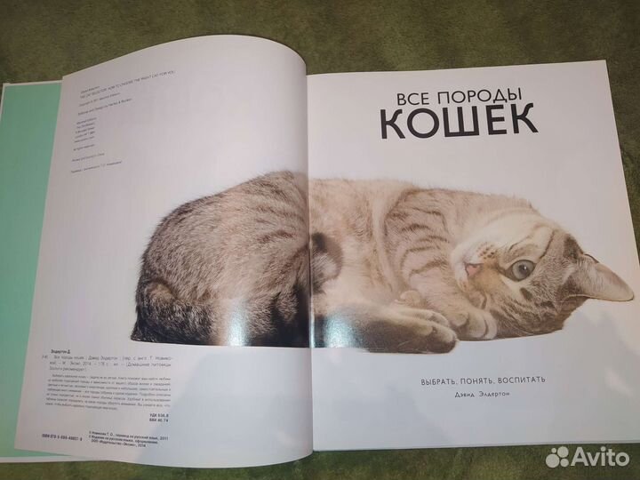 Книга о кошках