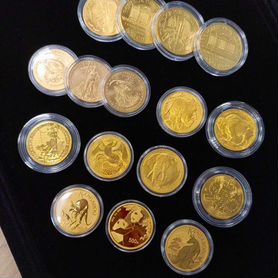 Золотые монеты, 31.1г