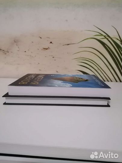 Книги Бернар Вербер