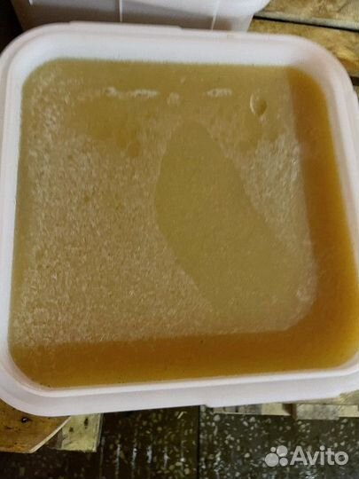 Эспарцетовый свежий мед оптом