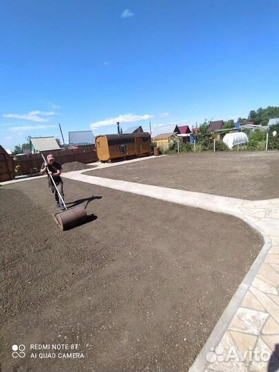 Посевной газон, рулонный газон, подготовка