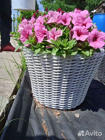 Кашпо из ротанга