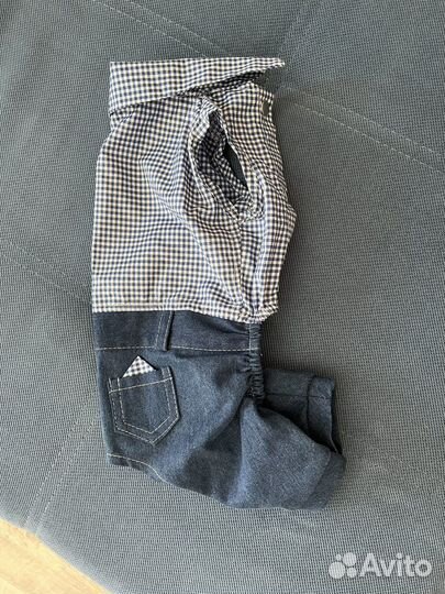 Одежда для собак