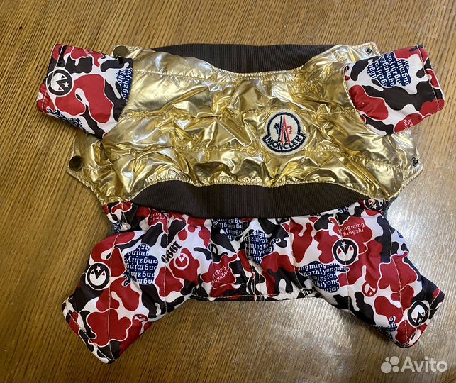 Одежда для собак мелких пород