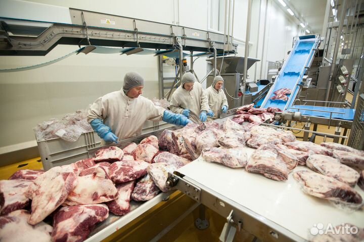 Жиловщик/Вахта Воронеж на мясокомбинат