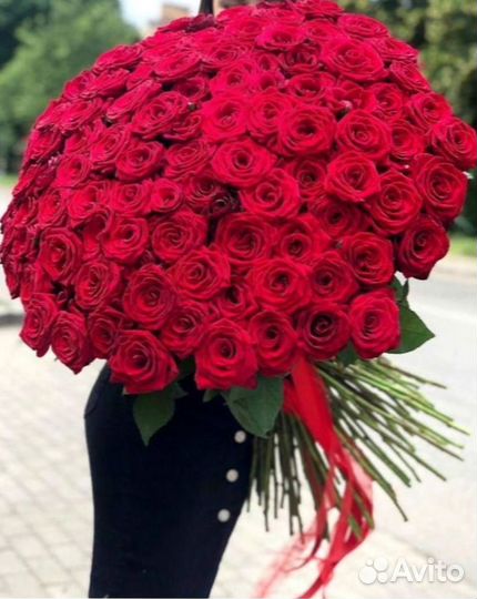 Букет роз. Розы