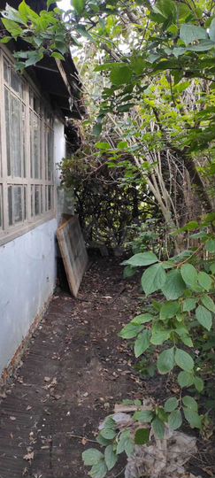 Дача 38 м² на участке 12 сот.