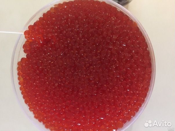 Икра кижуча