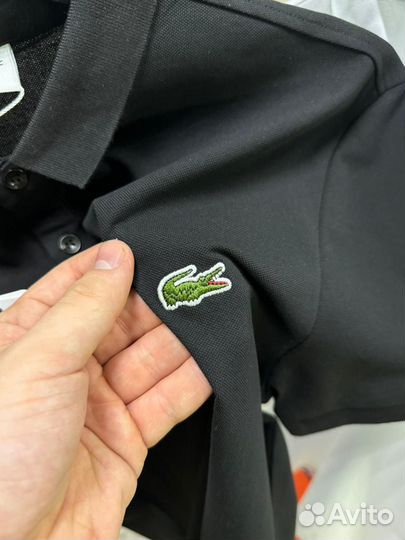 Поло Lacoste