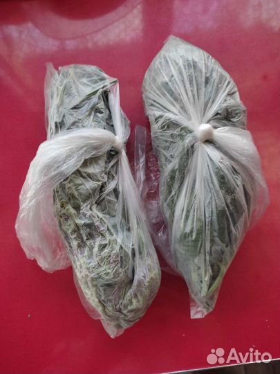 Сушеные травы