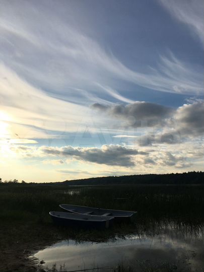 Участок 50 сот. (ИЖС)