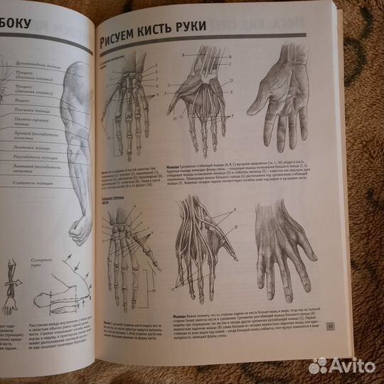 Рисуем голову и фигуру человека. Самоучитель