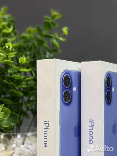 iPhone 16, 256 ГБ