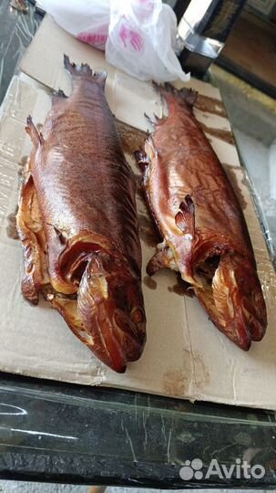 Копченая рыба натурального копчения и соления