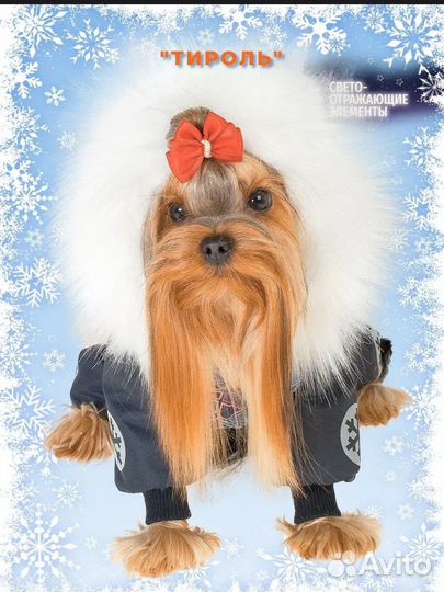 Зимний комбинезон для собаки