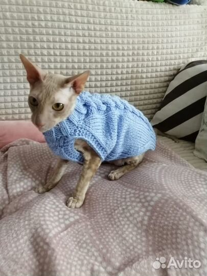 Вязанная одежда для собак и кошек