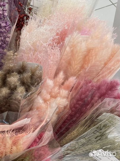 Сухоцветы для декора