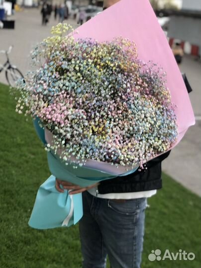 Коробка гипсофил