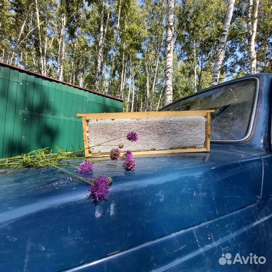 Мед Мёд разнотравье