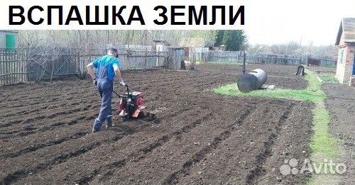 Пашу мотоблоком