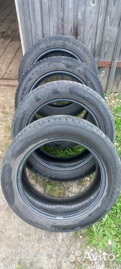 Nokian Tyres Nordman SX2 205/55 R16