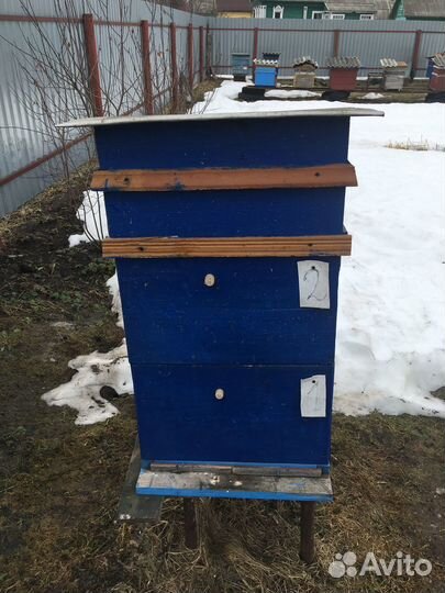 Ульи для пчел