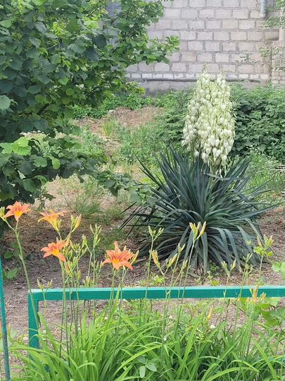 Дом 48 м² на участке 17 сот.