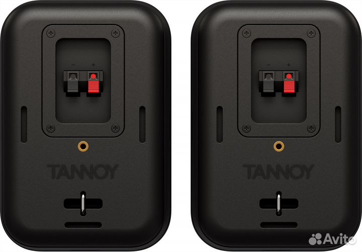 Пассивные мониторы Tannoy VMS 1