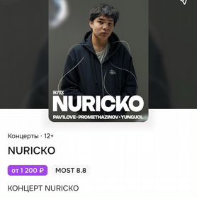 Билет на концерт Nuricko,фан зона