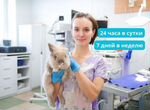 Ветеринарный врач Ветеринарная помощь на дому