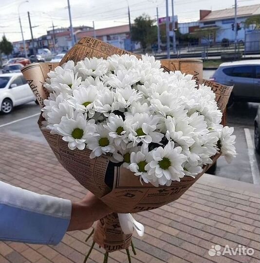 Хризантема Доставка цветов Букеты