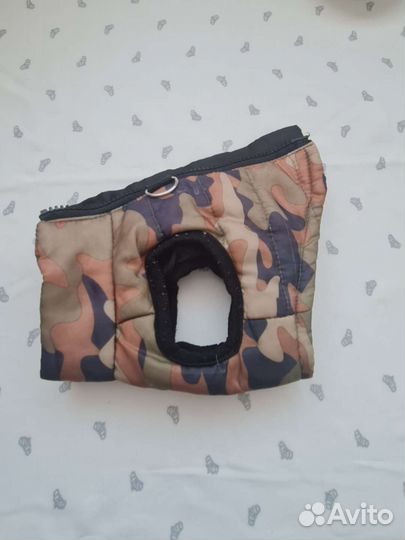 Одежда для собак мелких пород