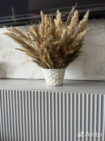 Сухоцветы букет