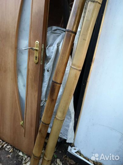 Ствол бамбука, бамбук, половинки бамбука