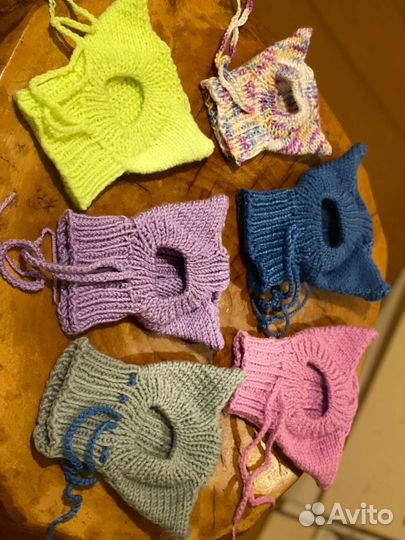 Одежда для собак