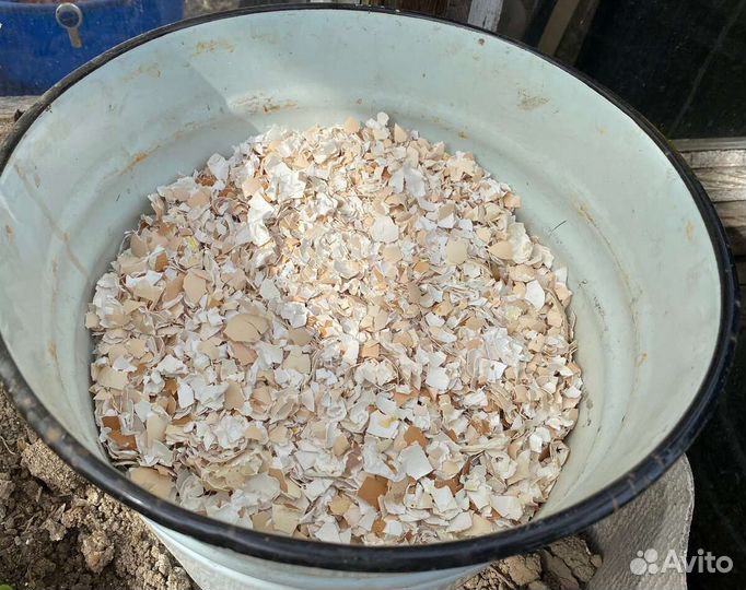 Яичная скорлупа куриная