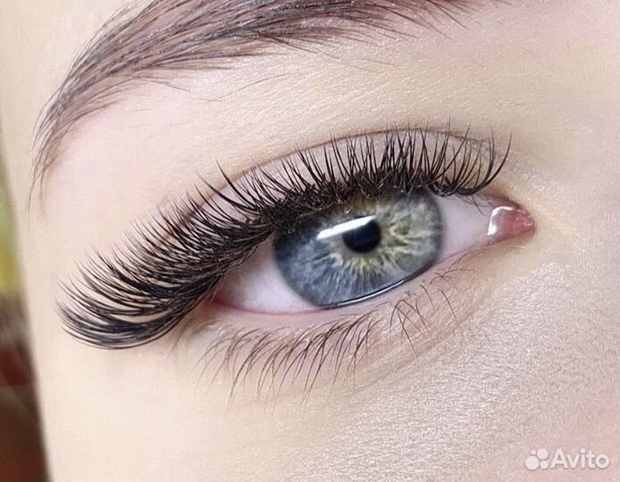 Lash помощник