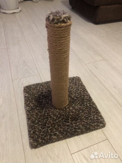 Когтеточка