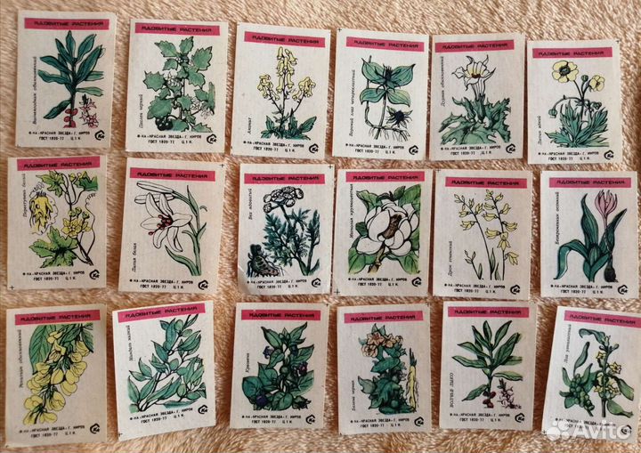 Коллеционная этикетка